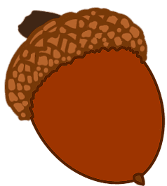 Acorn illustration